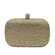 Clutch Golden Sparkle ✨
