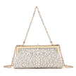 Bolso Golden Champagne ✨