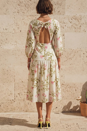 Rose Garden Dress